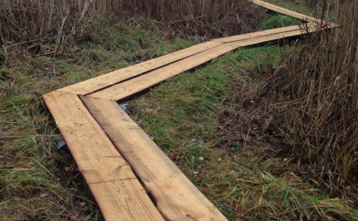 19_Giliaus ežero pažintinis takas (2).jpg